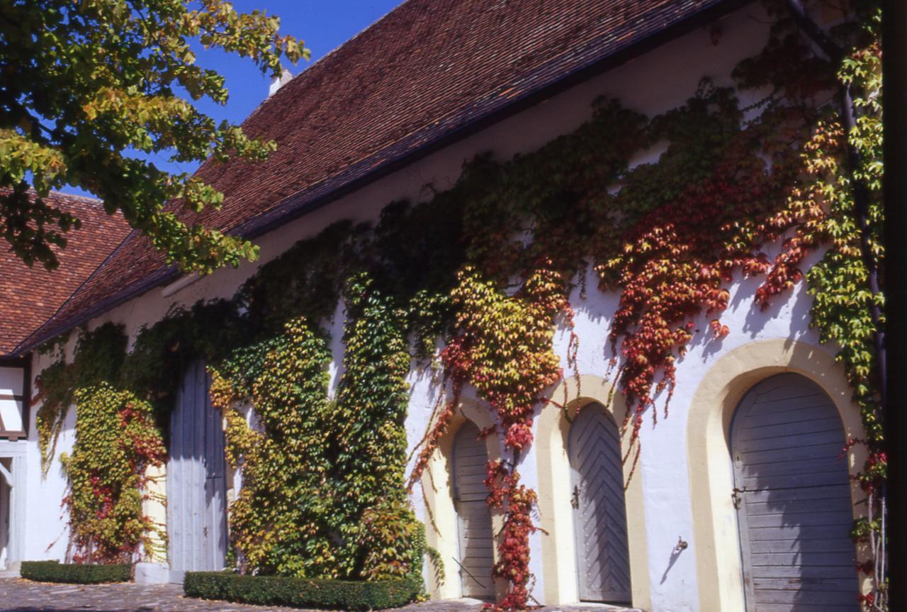 Markgraeflich Badischer Gasthof Schwanen Salem  Exteriér fotografie